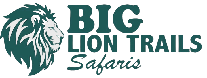 Big Lion Trails Safaris